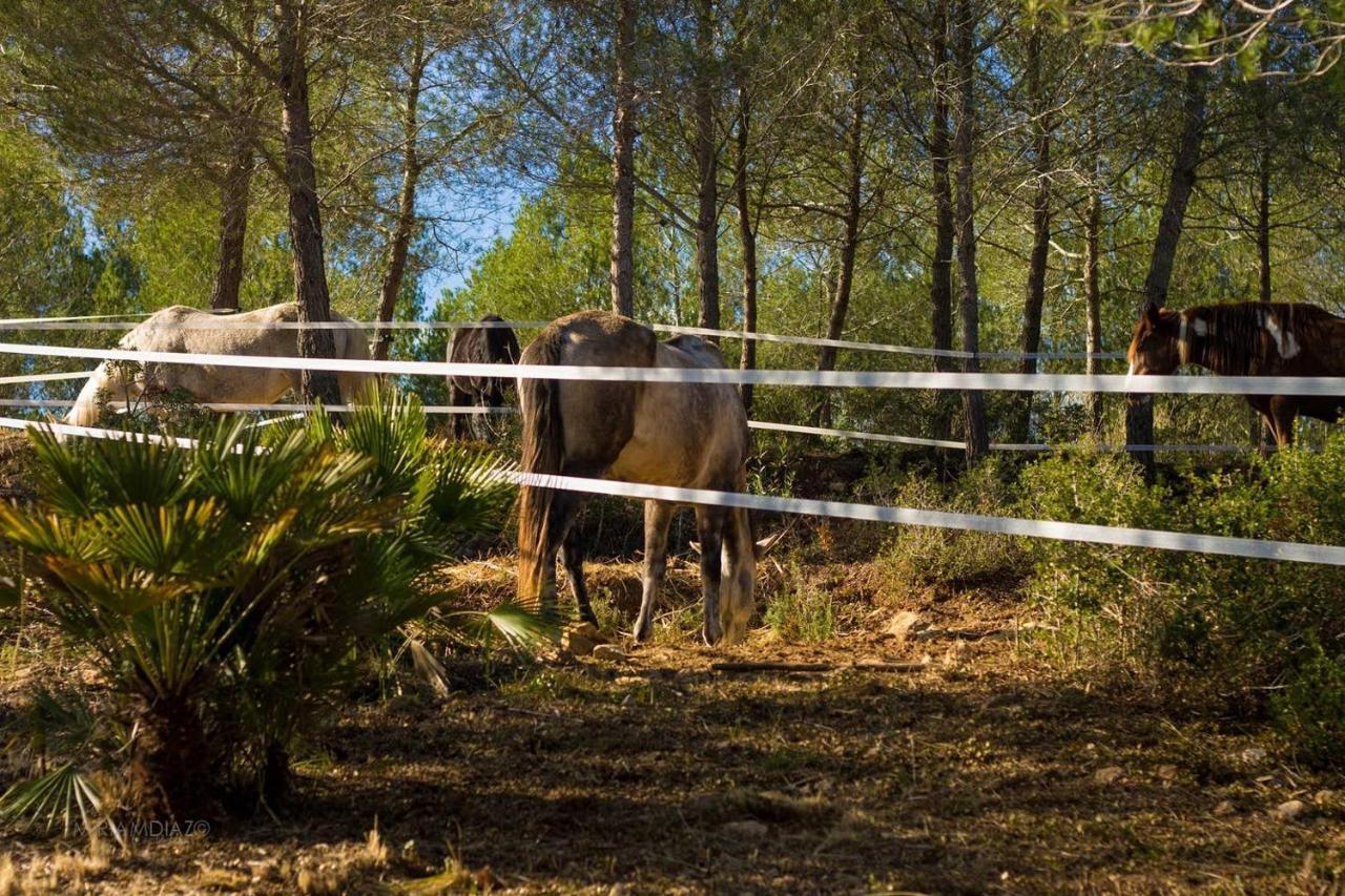 Masia Pou De La Vinya Sitges Exteriér fotografie