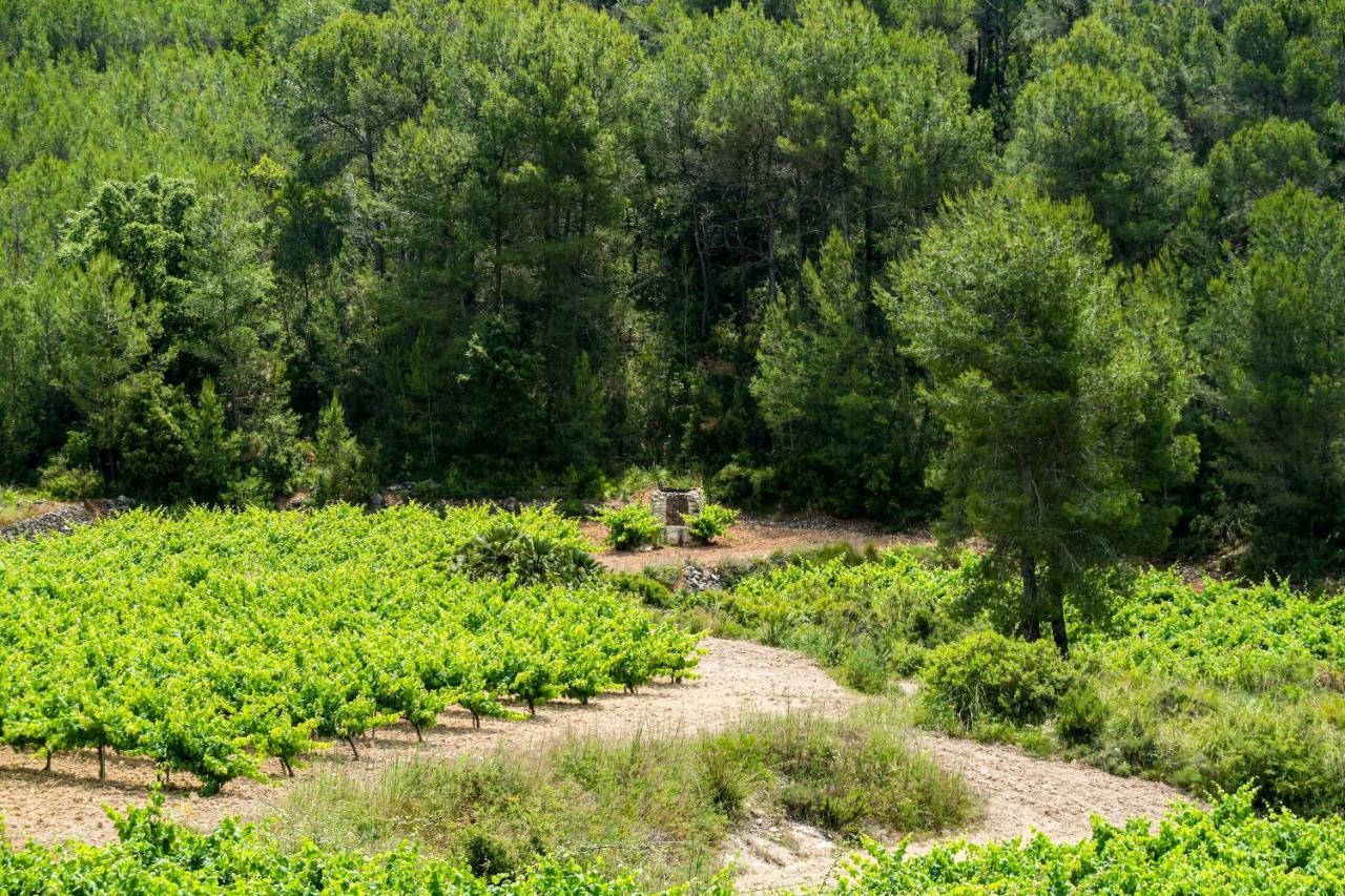 Masia Pou De La Vinya Sitges Exteriér fotografie