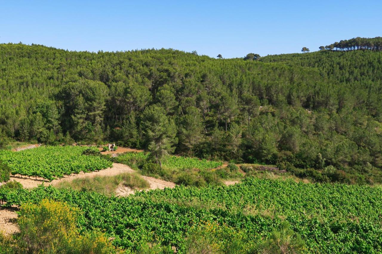 Masia Pou De La Vinya Sitges Exteriér fotografie